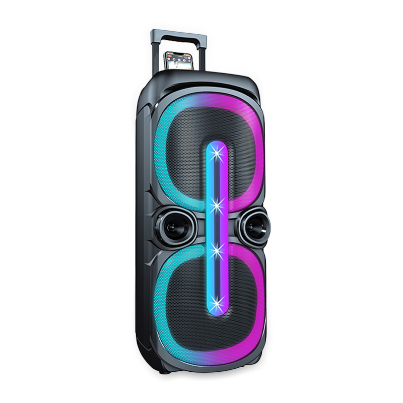 10 Inch Bluetooth Speaker For House With Led Lights