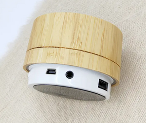 Bamboo Bluetooth Speaker.png